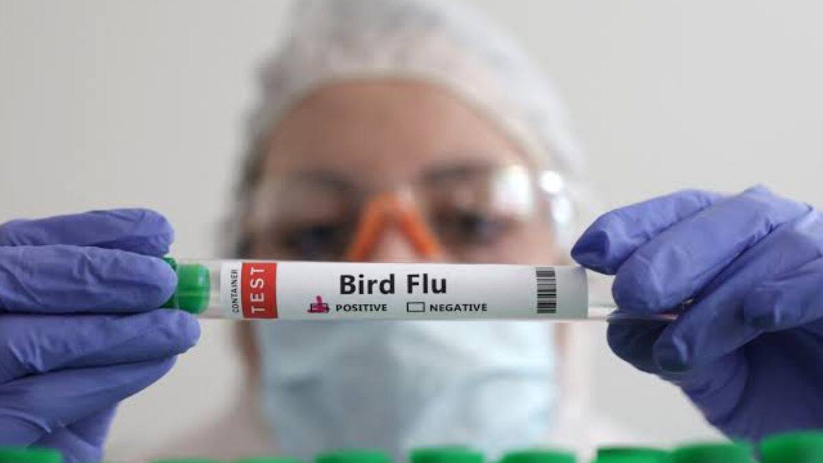 Queensland confirms first H5N1 bird flu case