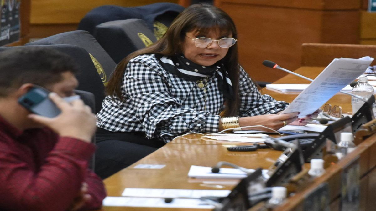 Celeste Amarilla: Die paraguayische Politikerin, die mit rassistischen ...