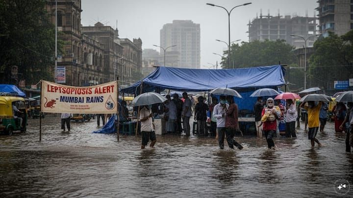 Leptospirosis cases rise amid Mumbai rains: Symptoms, risks and prevention explained Leptospirosis cases rise amid Mumbai rains: Symptoms, risks and prevention explained