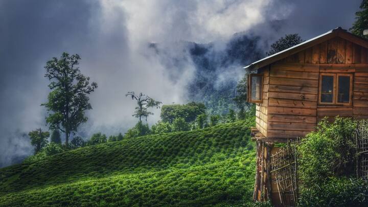 How a tiny Himalayan state became the world's first fully organic place How a tiny Himalayan state became the world's first fully organic place