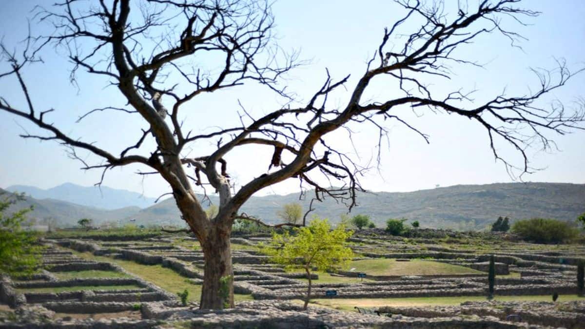 Why Pakistan risks losing World Heritage site tag for Vedic-era Taxila complex
