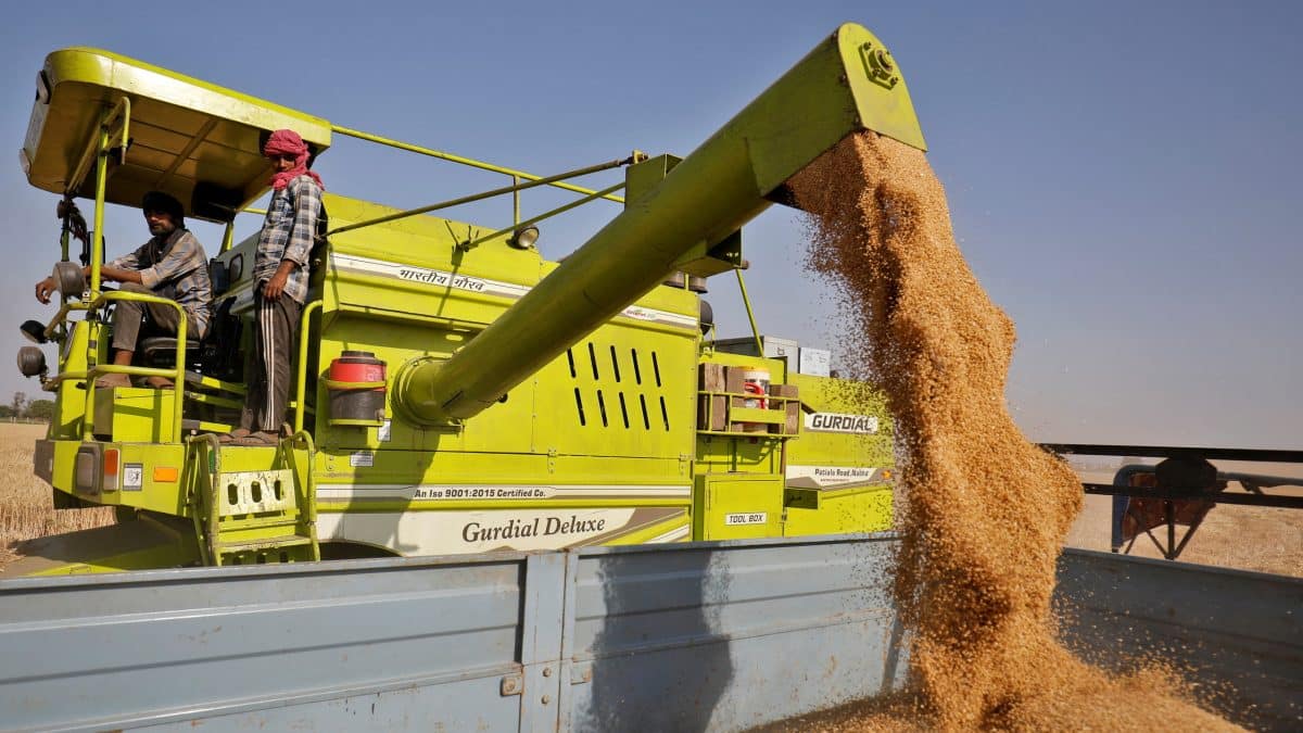 India lifts wheat flour export curbs after 4 years: What it means for overseas shipments