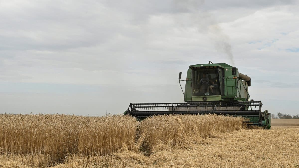 India's weak monsoon threatens grain production, risks global food inflation