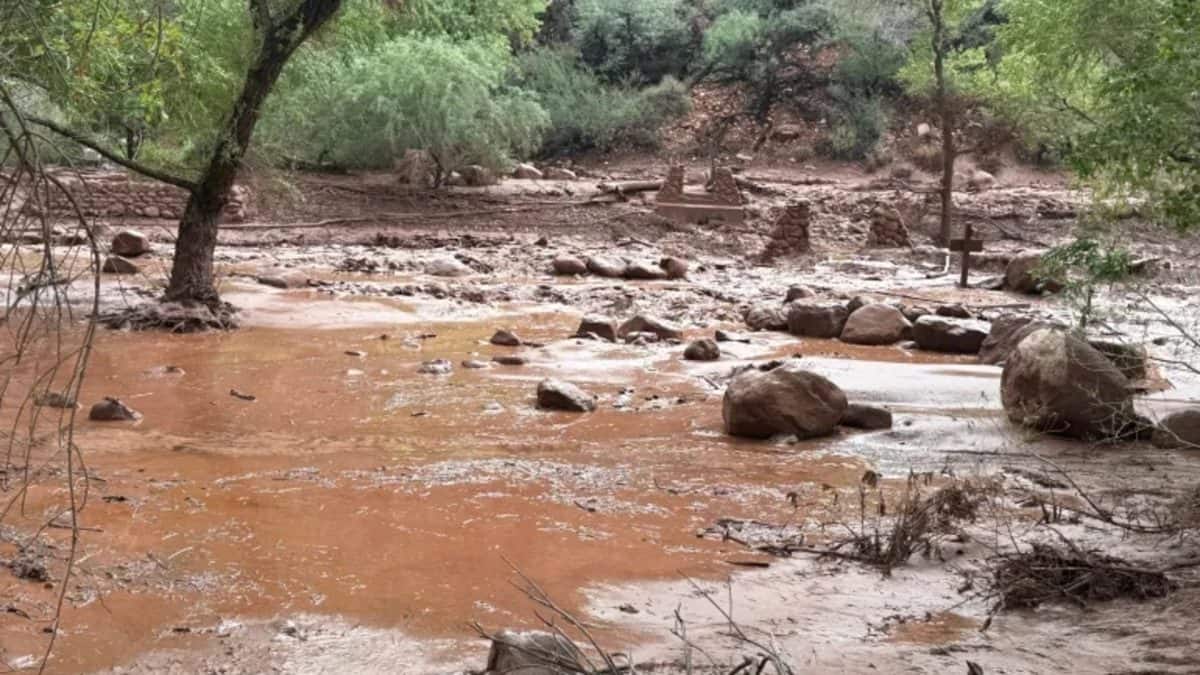 Flash flood swept through the Grand Canyon in Arizona; 62 evacuated ...
