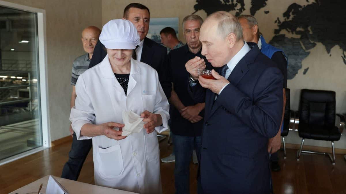 What are the disputed Kuril Islands that Putin visited, triggering Japan's protest?