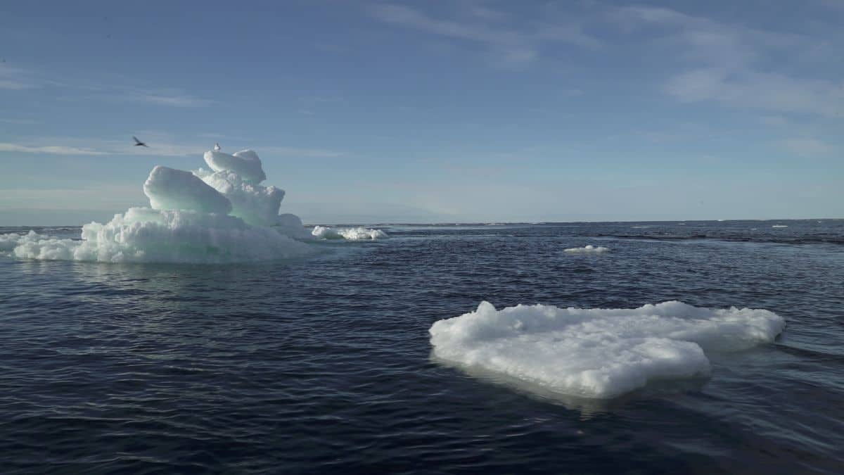 Trump administration pulls NOAA support for Arctic Report Card
