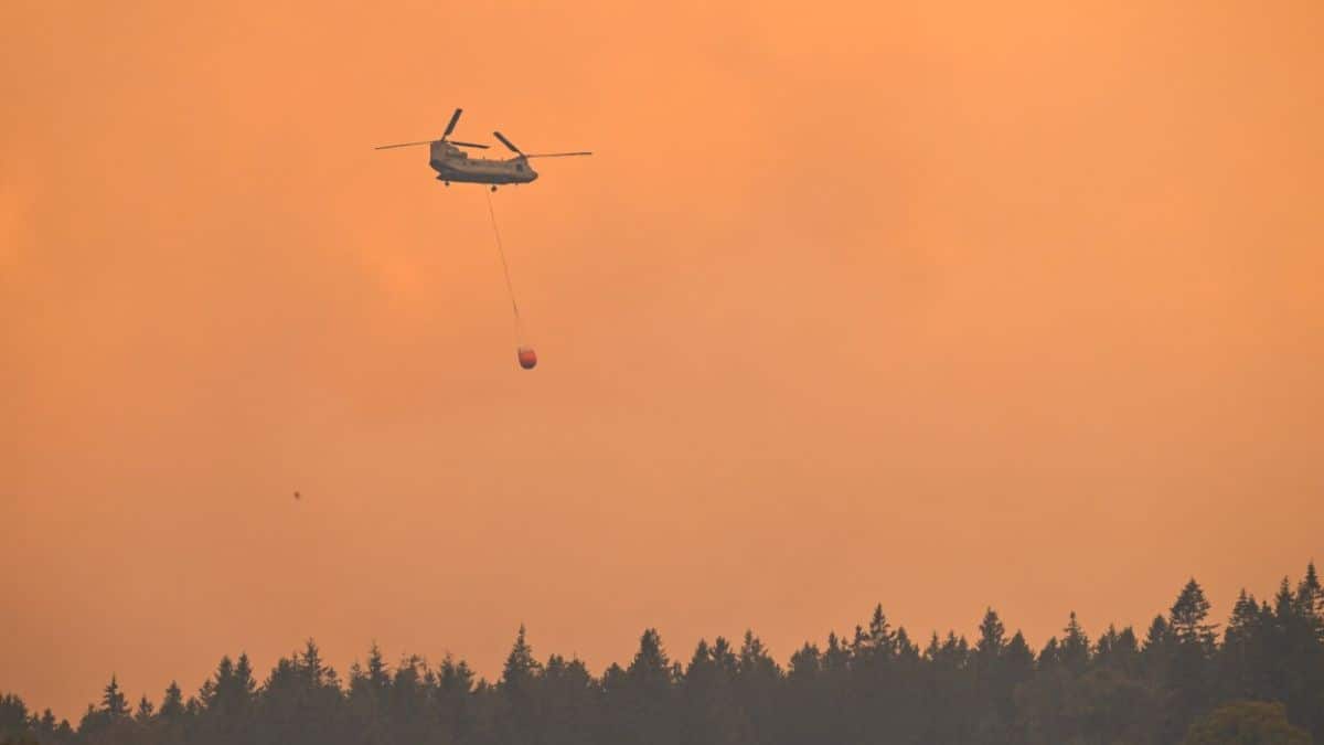 German town orders evacuation as massive Belgian wildfire rages near border