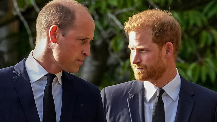 Will Prince Harry's return to the UK help heal the royal rift with brother, William?