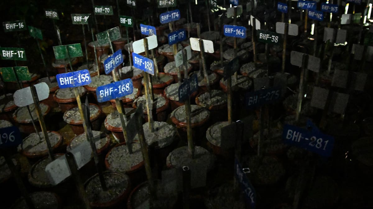 DNA-Proben, Markierungen und mehr… Wie Nepal plant, Opfer von Sturzfluten ...
