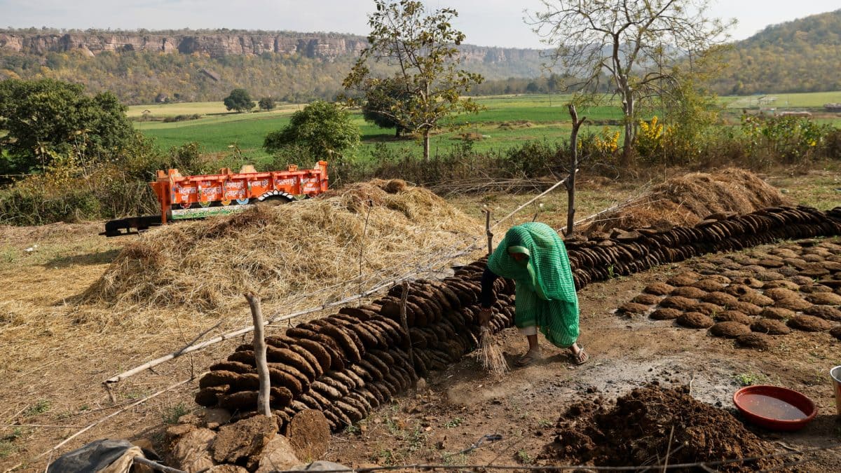 India’s waste could produce 62 MMT of compressed biogas a year: Report