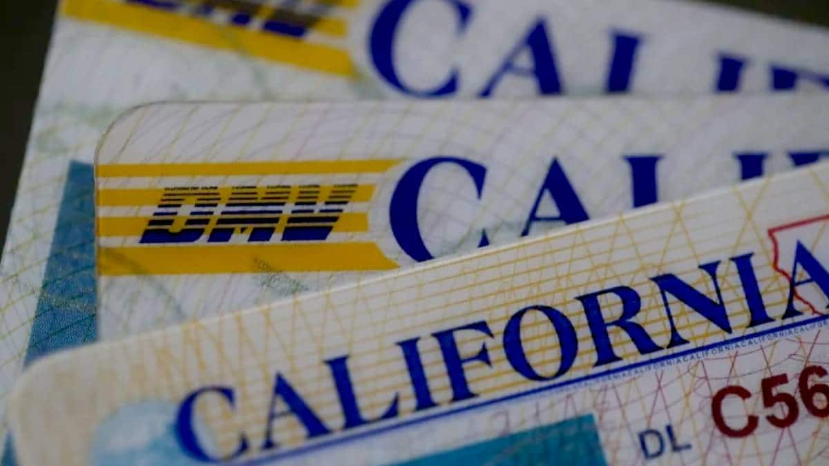 IDScan Confirms Driver’s Licence Data Breach, Scope Remains Under Investigation