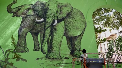 A mural of elephants in Delhi’s Lodhi Art District, where colourful public art has shaped the neighbourhood’s identity. Photo: AFP