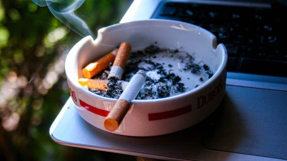 How Lungs Recover After Quitting Smoking, From Hours to Years