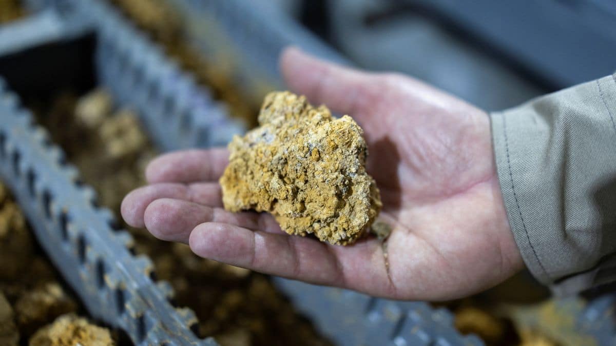 How Brics can help reshape the critical mineral supply chain
