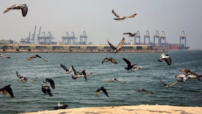 Saudi official said that the country's supply chains are so resilient that its partners are not afraid of the Houthis. AP
