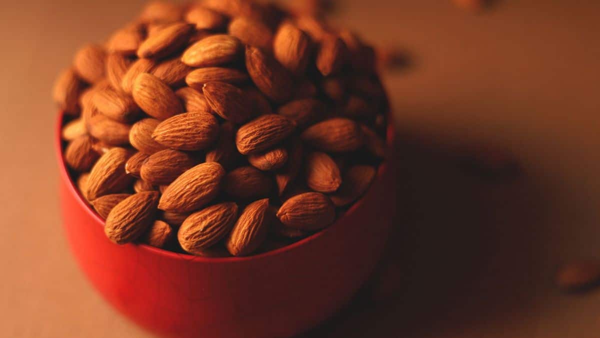 At Home Sleep Testing Can eating almonds improve sleep quality? What a new study reveals