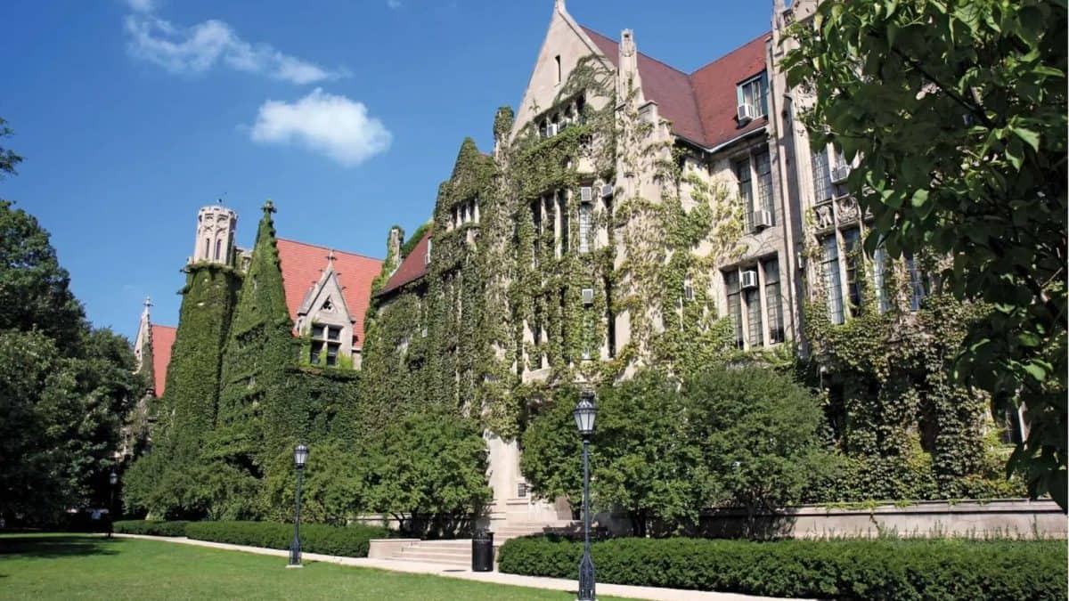 Alpha Epsilon Pi fraternity under investigation