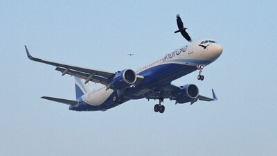 IndiGo flight 6E 6115 was scheduled from Delhi to Chennai on Sunday (October 11). Before it could reach its destination, a passenger's power bank caught fire, and the pilot had to make an emergency landing at Hyderabad's Rajiv Gandhi International Airport. Reuters