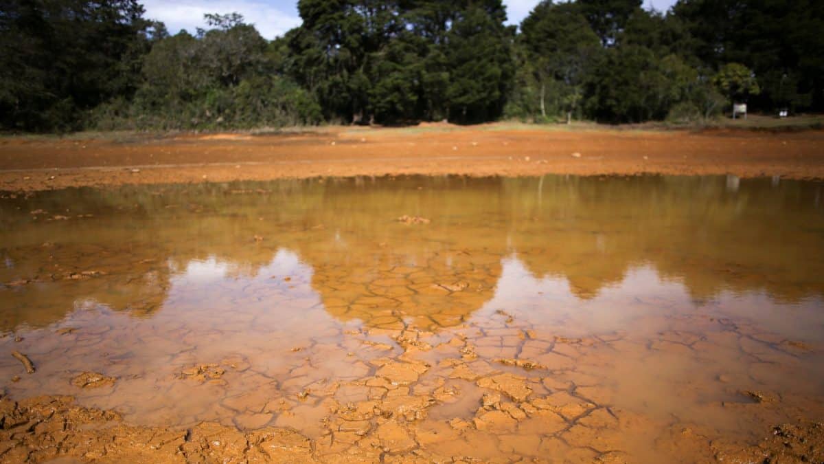 Why El Niño Brings Drought to Some Regions