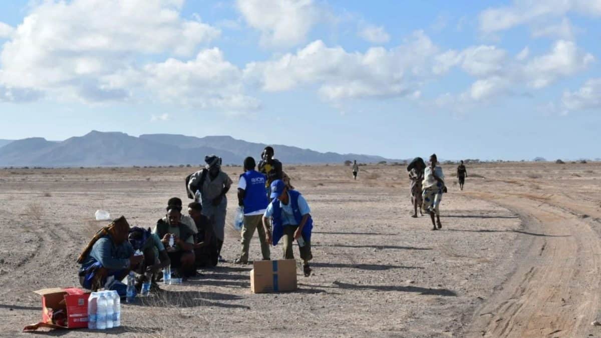 At least 139 dead, over 80 missing after migrant boat capsizes off Djibouti