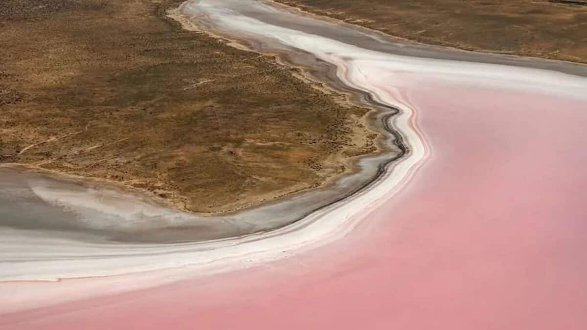 Australia’s desert blooms as floodwaters fill its vast salt lake