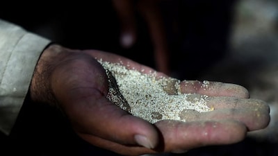 Farmer holds poppy seeds on the palm of his hand. (AFP)