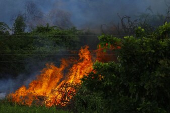 Intense wildfire. Photo: Pexels