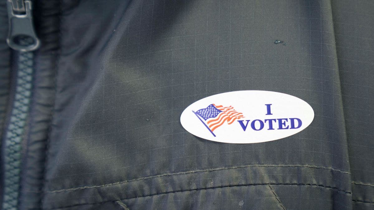 43 million votes already in: What is driving American voters as Trump faces midterm test?