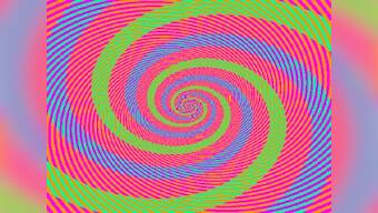 Trash your intuition; it only deceives you  