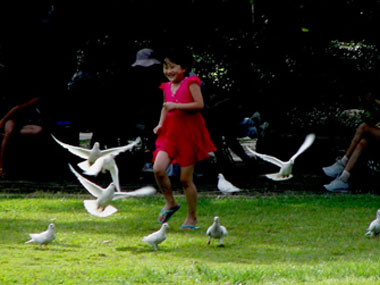 Happinomics: How to put a number on your wellbeing Happinomics: How to put a number on your wellbeing