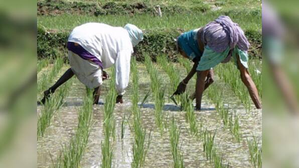 Indian economy is caught in the classic wage-price spiral