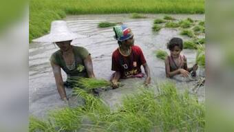 Climate change affects crops so can Indian farmers move?