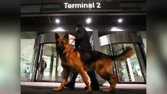 Sniffer dog with US troops could have brought Osama down