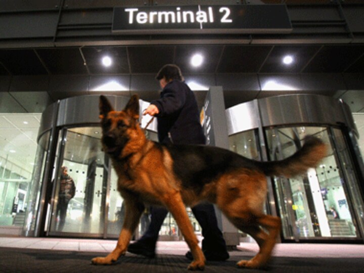 Sniffer dog with US troops could have brought Osama down