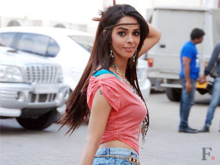 Lamba sequel: Now, Mallika's bro Vikram detained at airport