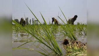 Rising food prices push 10mn more Indians below poverty line