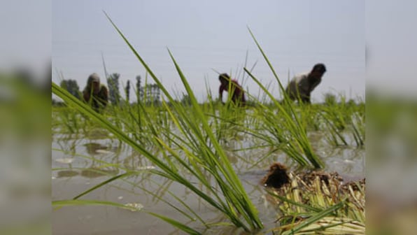 Rising food prices push 10mn more Indians below poverty line