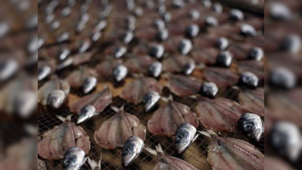 Looking for 'chillar' fish in Sewri Market Firstpost