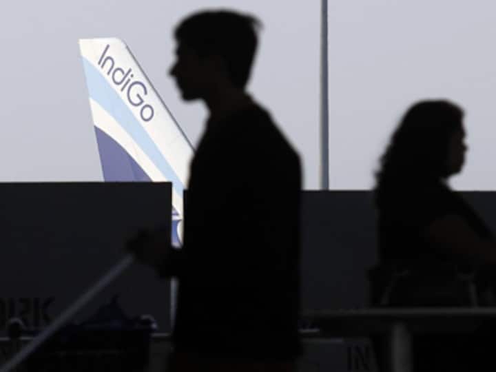 IndiGo to fly across Indian borders from September