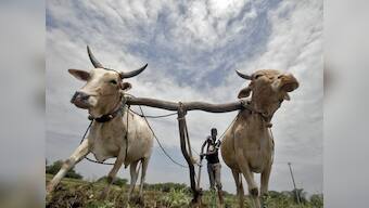 Now, a monsoon dampener in the gloomy economy story