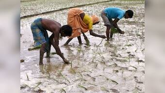 It's not the rain-gods, silly. It's the govt that's failed