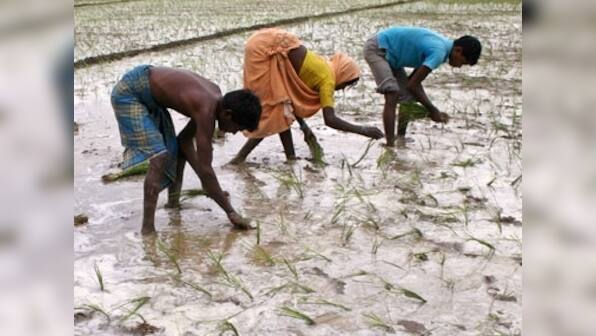 It's not the rain-gods, silly. It's the govt that's failed