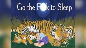 Go the f**k to sleep