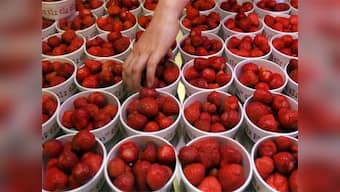 What is it like for a reporter covering Wimbledon? Here’s an insider’s tale