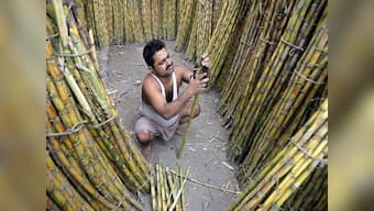 Govt doubles sugar exports; sends global prices down 