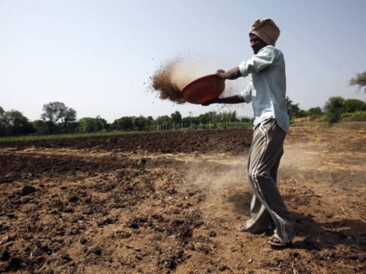 United Phosphorus' M&A trail makes agro-chemicals sexy 