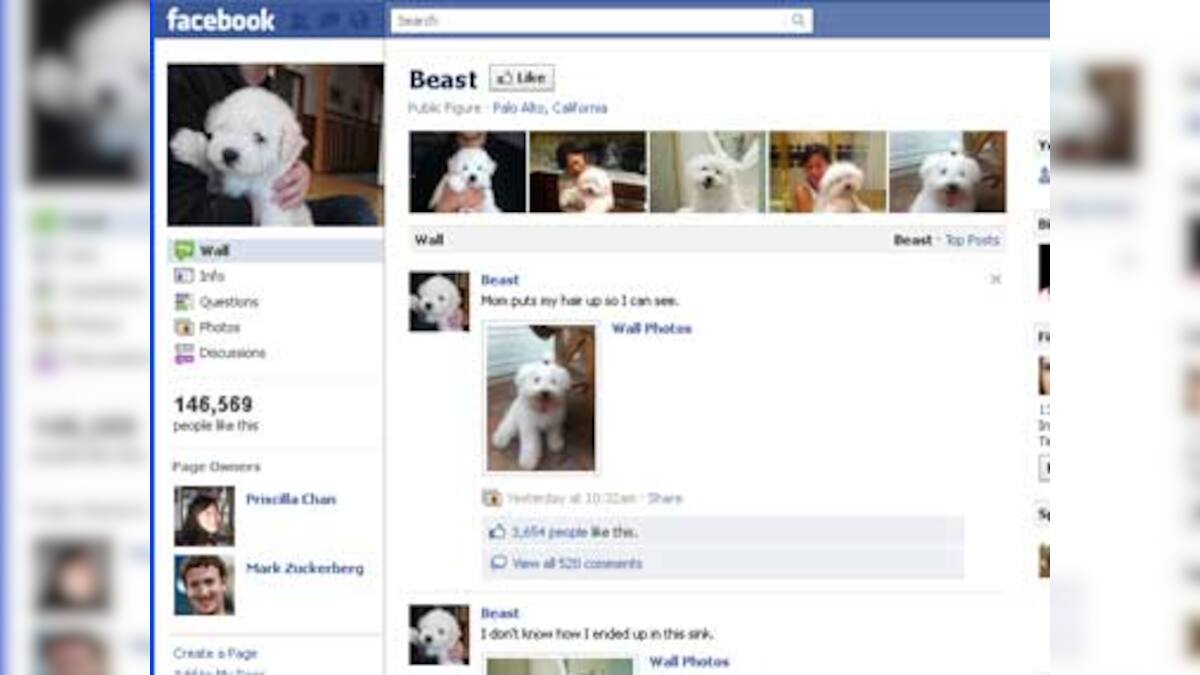 Social animals: 'One in 10 pets on Facebook, Twitter, YouTube' – Firstpost