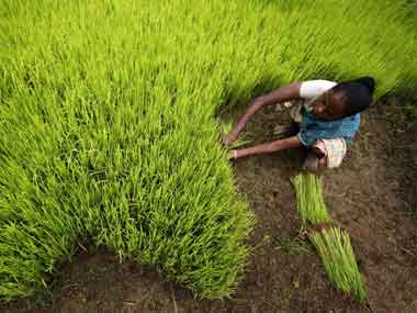 We won't sow: India's farmers in crop holiday mood We won't sow: India's farmers in crop holiday mood