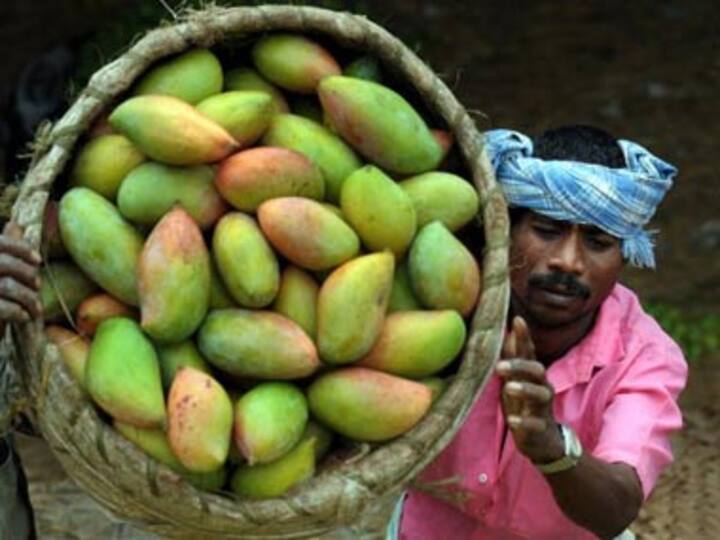 Five great mangoes you haven't heard of	