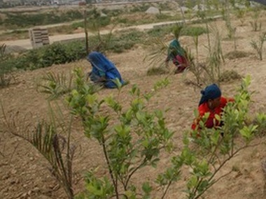 Immediately introduce Land Bill in Parliament: BSP Immediately introduce Land Bill in Parliament: BSP